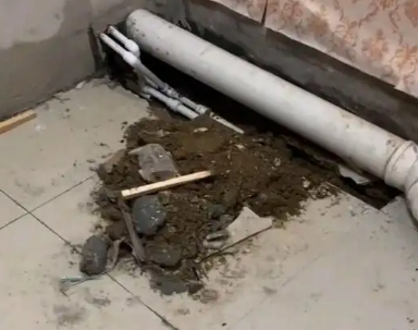 邵阳市卫生间漏水检测哪家好