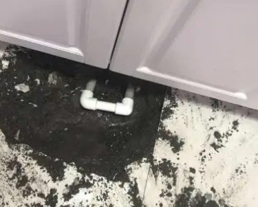 邵阳市查漏水哪家好